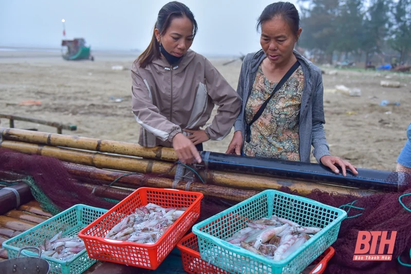 Ngư dân Quảng Xương ra khơi “săn” lộc biển dịp nghỉ lễ 30/4