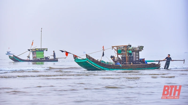 Ngư dân Quảng Xương ra khơi “săn” lộc biển dịp nghỉ lễ 30/4