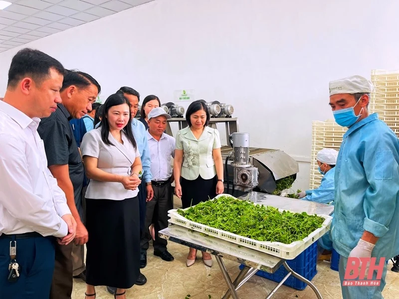 Đoàn đại biểu Ủy ban Mặt trận Lào xây dựng đất nước tỉnh Hủa Phăn tham quan, tìm hiểu tại tỉnh Thanh Hóa