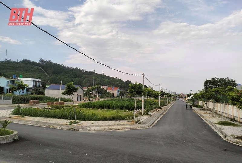 Hài hòa lợi ích ở thị trường bất động sản, chuyện dễ hóa khó (Bài 2): Sau trúng đấu giá, đất ở bị bỏ hoang