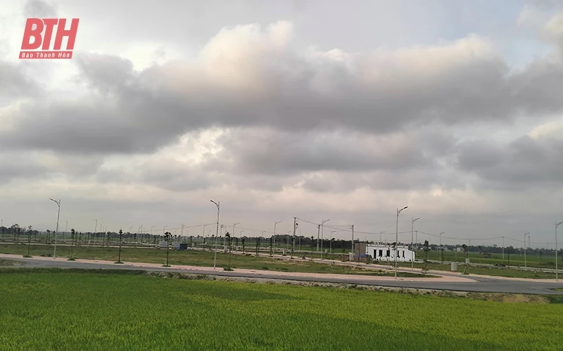 Hài hòa lợi ích ở thị trường bất động sản, chuyện dễ hóa khó (Bài 2): Sau trúng đấu giá, đất ở bị bỏ hoang