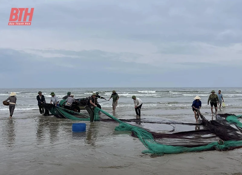 Mùa săn “lộc biển”
