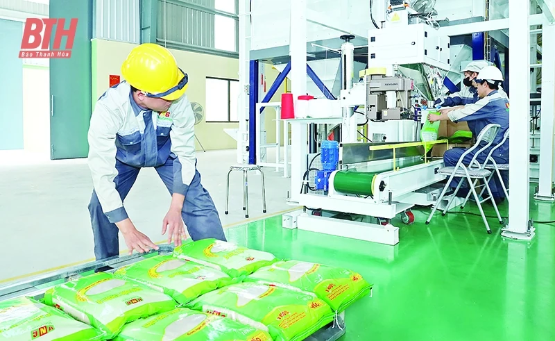 FTA tiếp sức cho hàng hóa vươn tầm