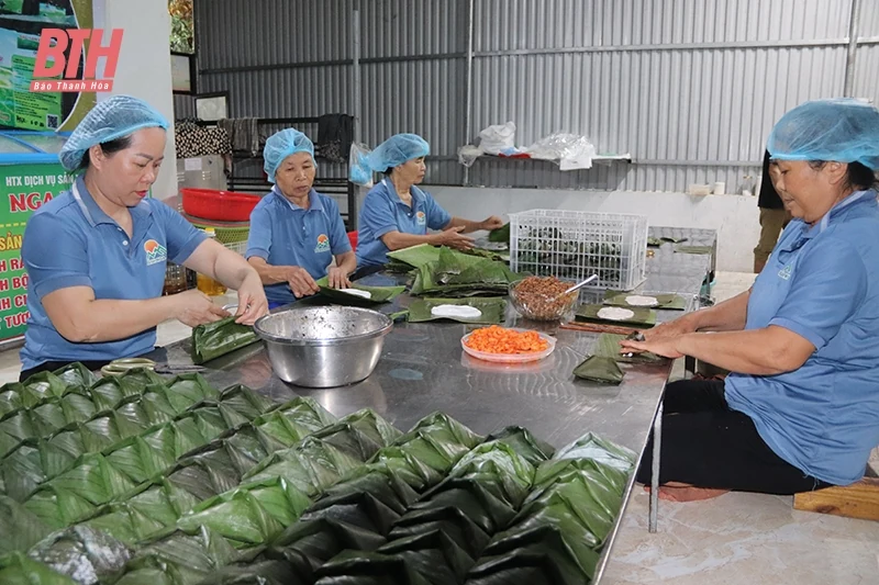 Khởi nghiệp từ đam mê