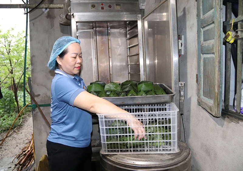 Khởi nghiệp từ đam mê