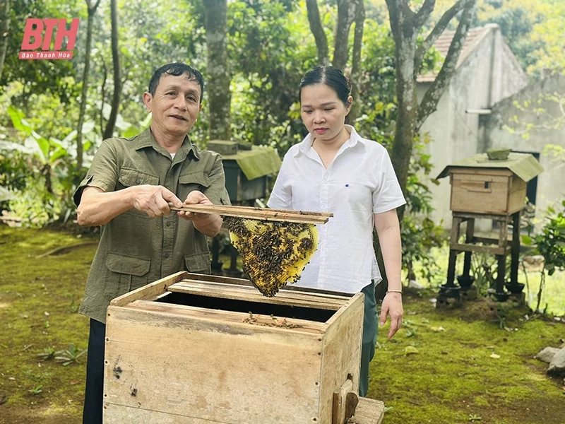 Đổi mới hoạt động của kinh tế tập thể