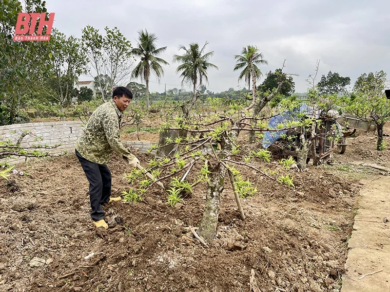 Thọ Tân tập trung phát triển kinh tế, nâng cao thu nhập cho người dân
