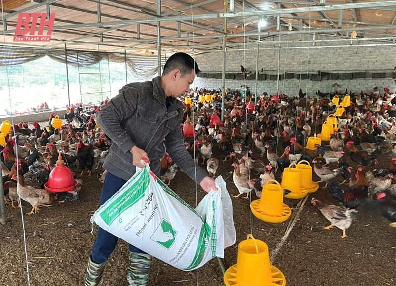 Xã Mậu Lâm đẩy mạnh phát triển kinh tế, nâng cao thu nhập cho người dân