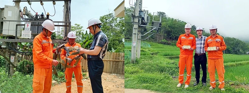 Điện lực Quan Hóa triển khai các giải pháp, bảo đảm cấp điện ổn định, an toàn trên địa bàn