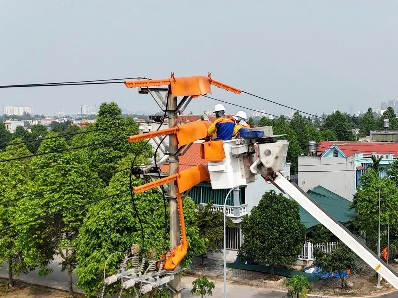Đội Hotline Công ty Điện lực Thanh Hóa đối mặt với dòng điện “sống” để bảo đảm cấp điện liên tục