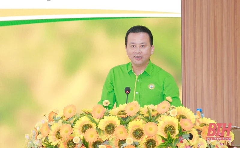 Giống lúa lai 3 dòng chất lượng cao ADI số 9 đạt năng suất 85 tạ/ha