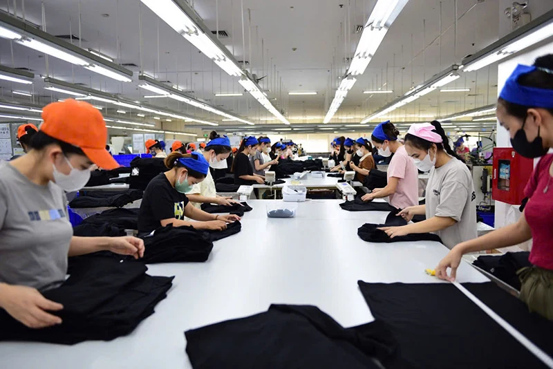 Công ty TNHH Sakurai Việt Nam: Hành trình vững bước vươn xa, nâng tầm giá trị Việt