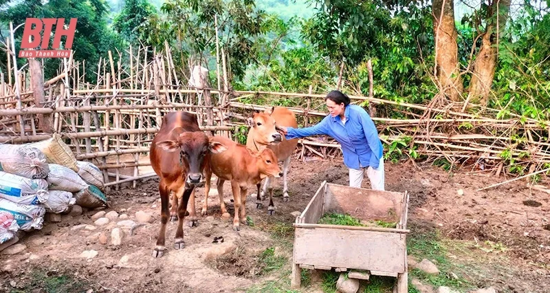 Mô hình kinh tế tập thể của phụ nữ Tam Thanh