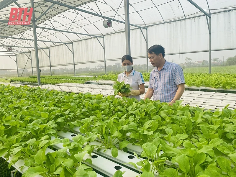 Thu hút nông dân gia nhập hợp tác xã