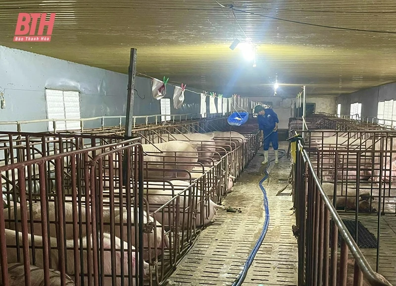 Chăn nuôi tiếp tục duy trì đà tăng trưởng