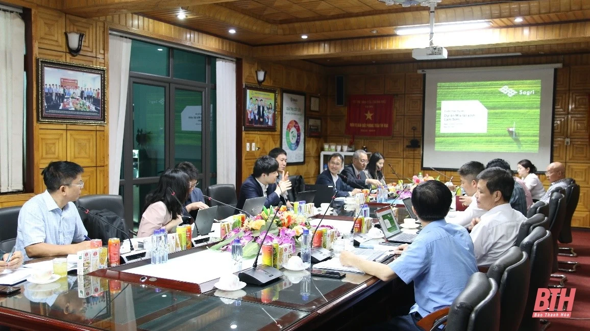 Vùng mía Lam Sơn tăng tốc “gặt tín chỉ carbon”