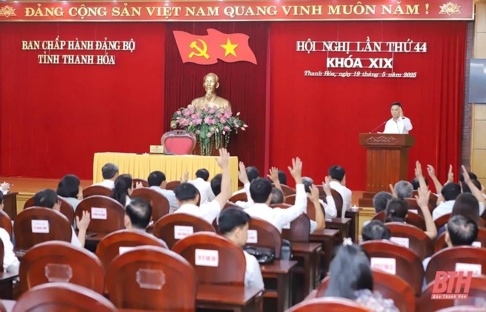 Ban Chấp hành Đảng bộ tỉnh thông qua Đề án tổ chức bộ máy chính quyền địa phương, đơn vị sự nghiệp; phương hướng bố trí đội ngũ cán bộ, công chức, viên chức và người lao động