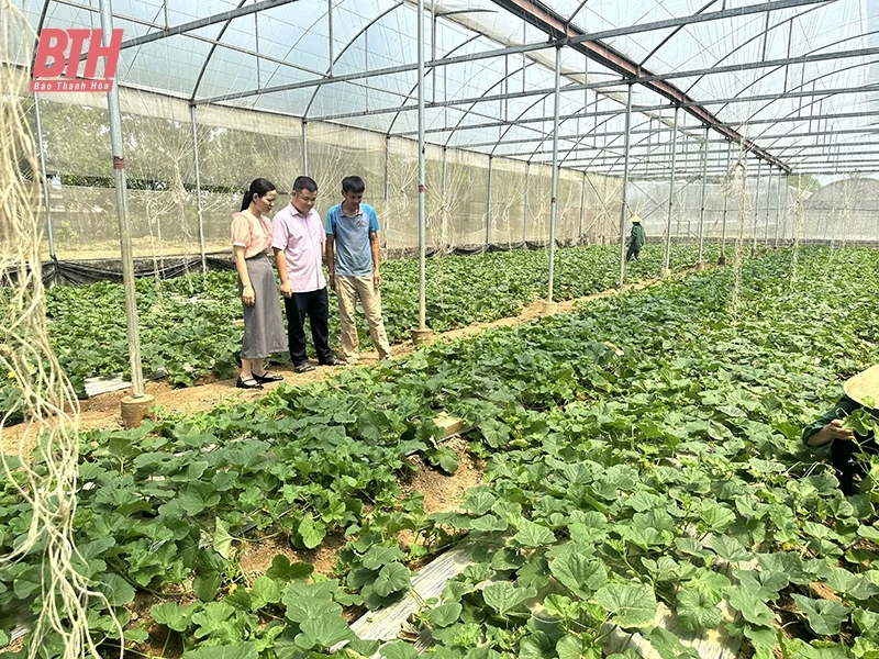 Tạo “đòn bẩy” cho người lao động mở rộng sản xuất, kinh doanh