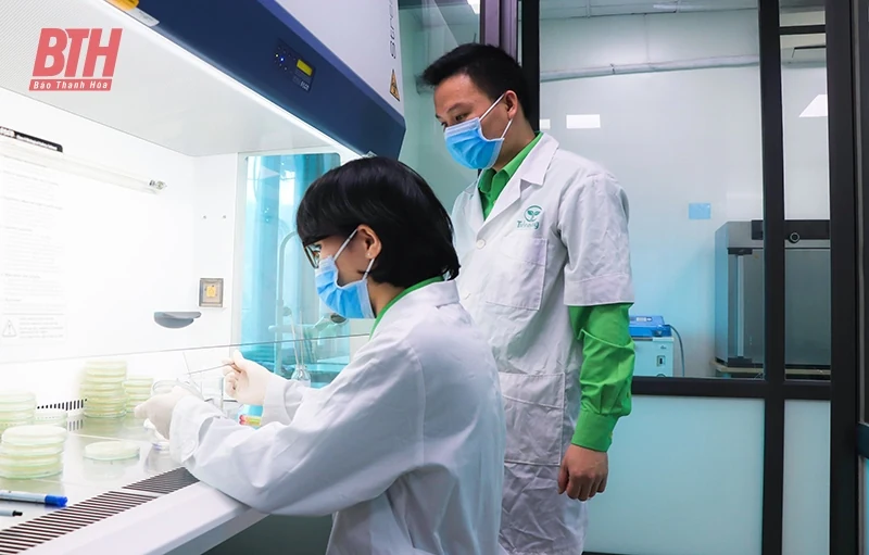 Thương hiệu xanh - hướng đi tất yếu trong thị trường hiện đại