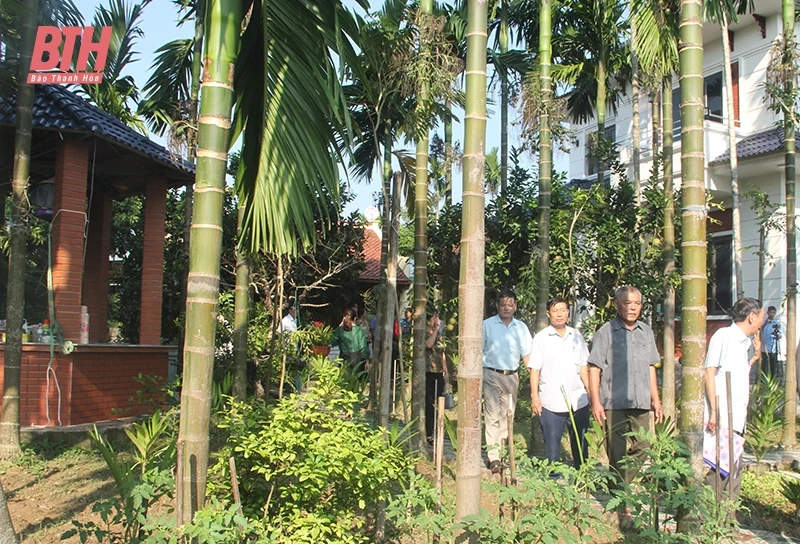 Hiệu quả kép từ vườn cau sinh thái