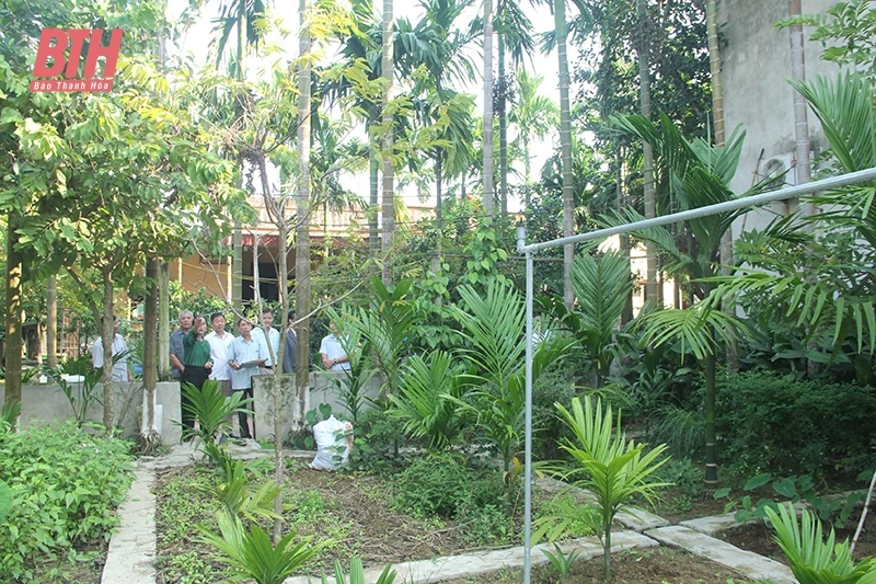 Hiệu quả kép từ vườn cau sinh thái