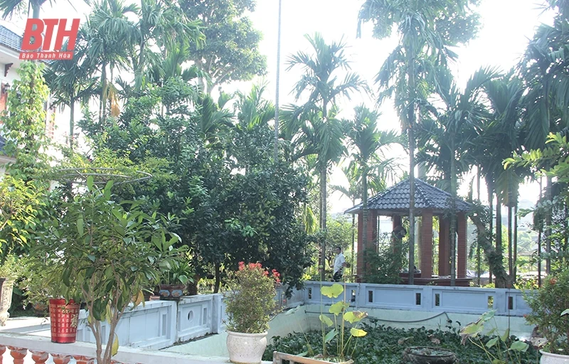 Hiệu quả kép từ vườn cau sinh thái