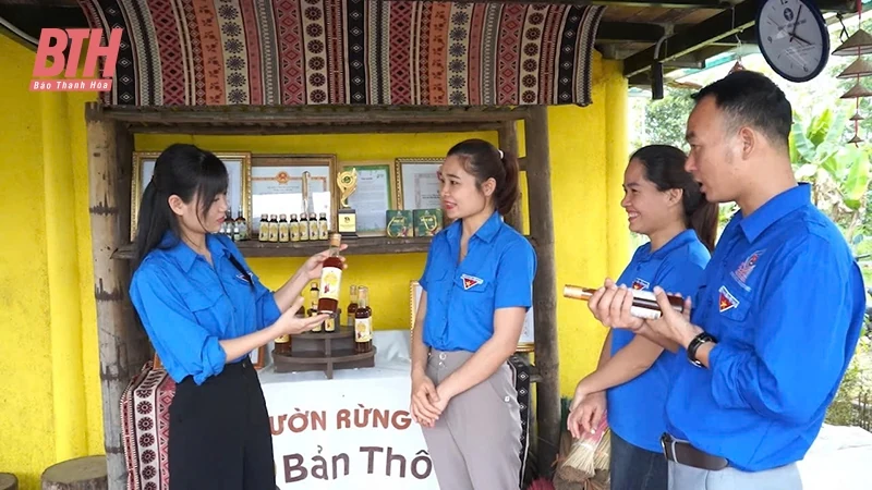 Hiệu quả từ xây dựng sản phẩm OCOP ở Như Xuân