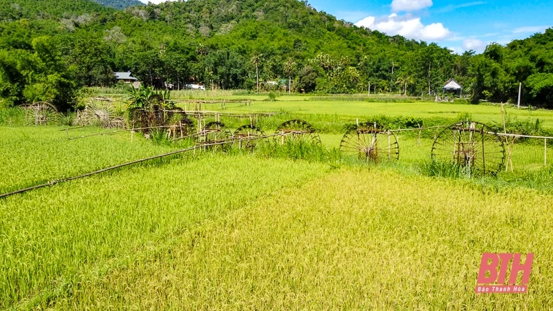 Guồng nước - một nét văn hóa miền Tây xứ Thanh