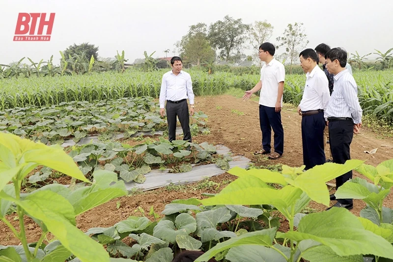 Đi trước, đón đầu trong định hướng dư luận xã hội