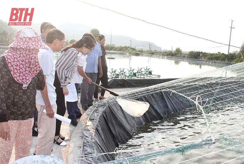 Những “kỹ sư” chân đất