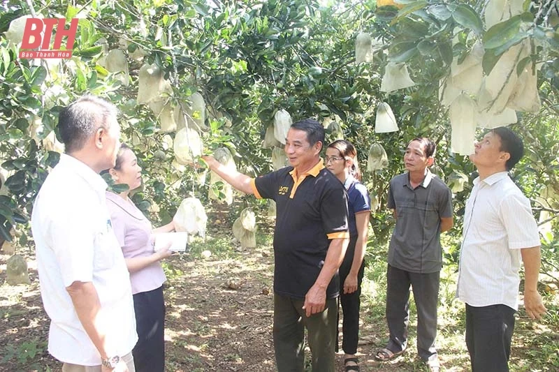 Những “kỹ sư” chân đất