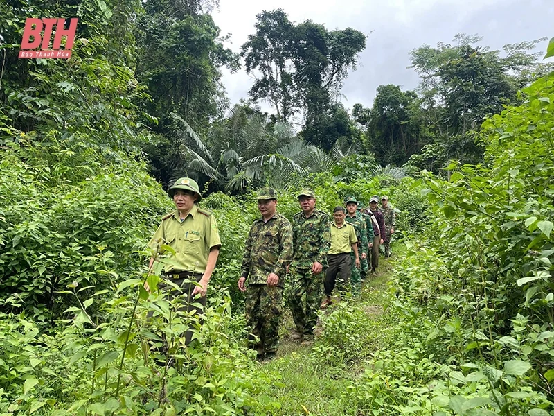 Thêm xanh những cánh rừng biên giới