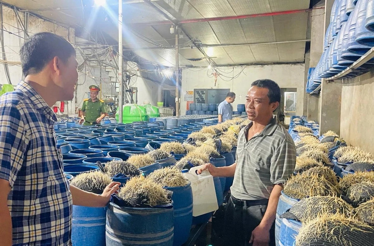 Viện Khoa học hình sự Bộ Công an xác định hoá chất ủ giá đỗ nguy hại sức khoẻ