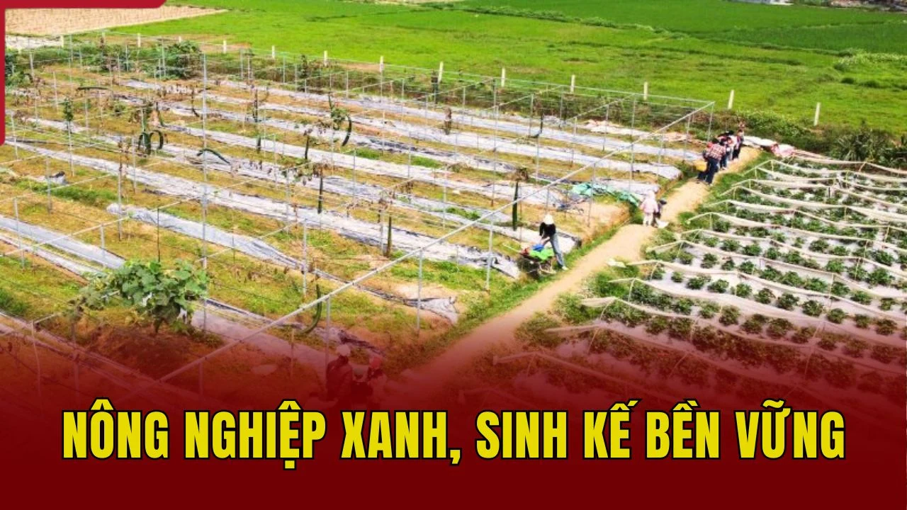 Nông nghiệp xanh, sinh kế bền vững