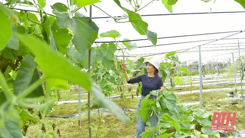 Nông nghiệp xanh, sinh kế bền vững