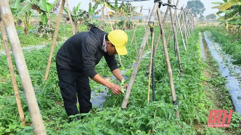 Nông nghiệp xanh, sinh kế bền vững