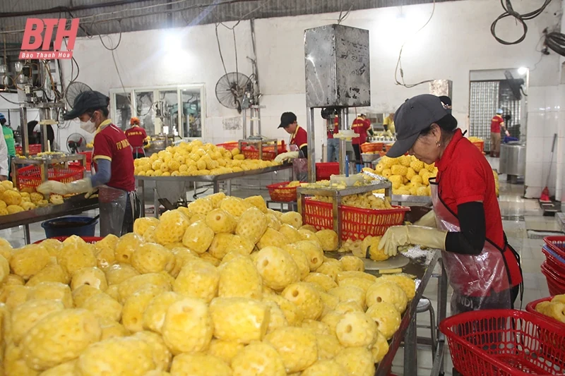 Đẩy mạnh chế biến sâu sản phẩm rau quả