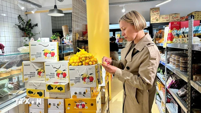 Vải thiều tươi Việt Nam mùa vụ 2025 có mặt tại thị trường Pháp