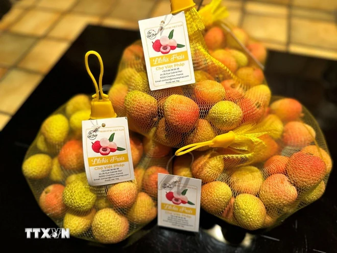 Vải thiều tươi Việt Nam mùa vụ 2025 có mặt tại thị trường Pháp