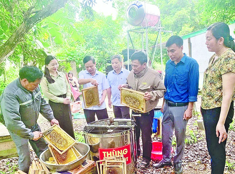 Khi nông dân bắt nhịp chuyển đổi số