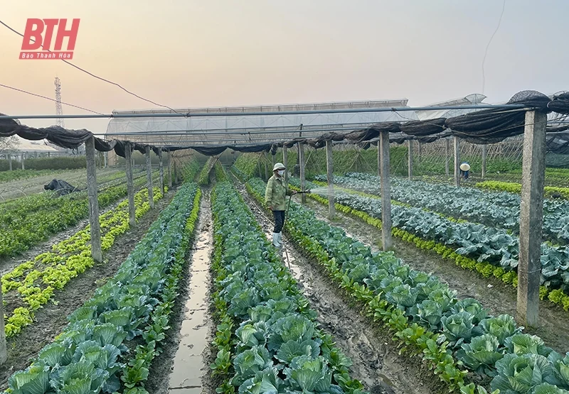 Phát triển nông nghiệp theo hướng hiện đại