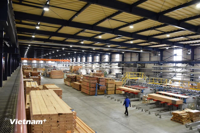 Từ thị trấn bị lãng quên đến công trình gỗ lớn nhất thế giới tại Nhật Bản