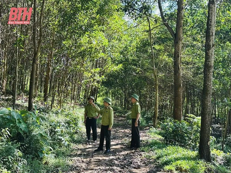 Như Thanh chủ động giữ rừng mùa nắng nóng