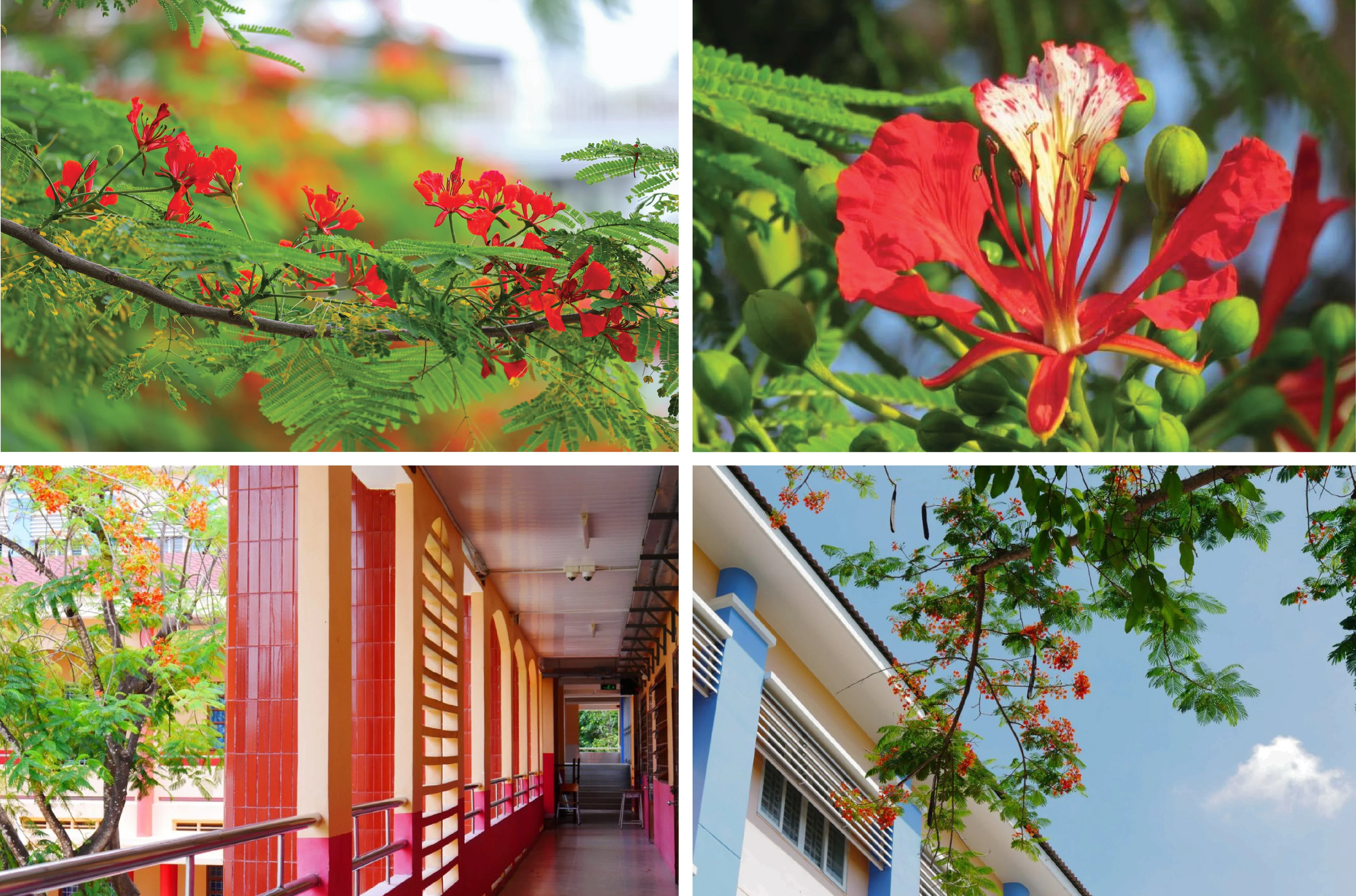 [E-magazin]: Màu của nhớ