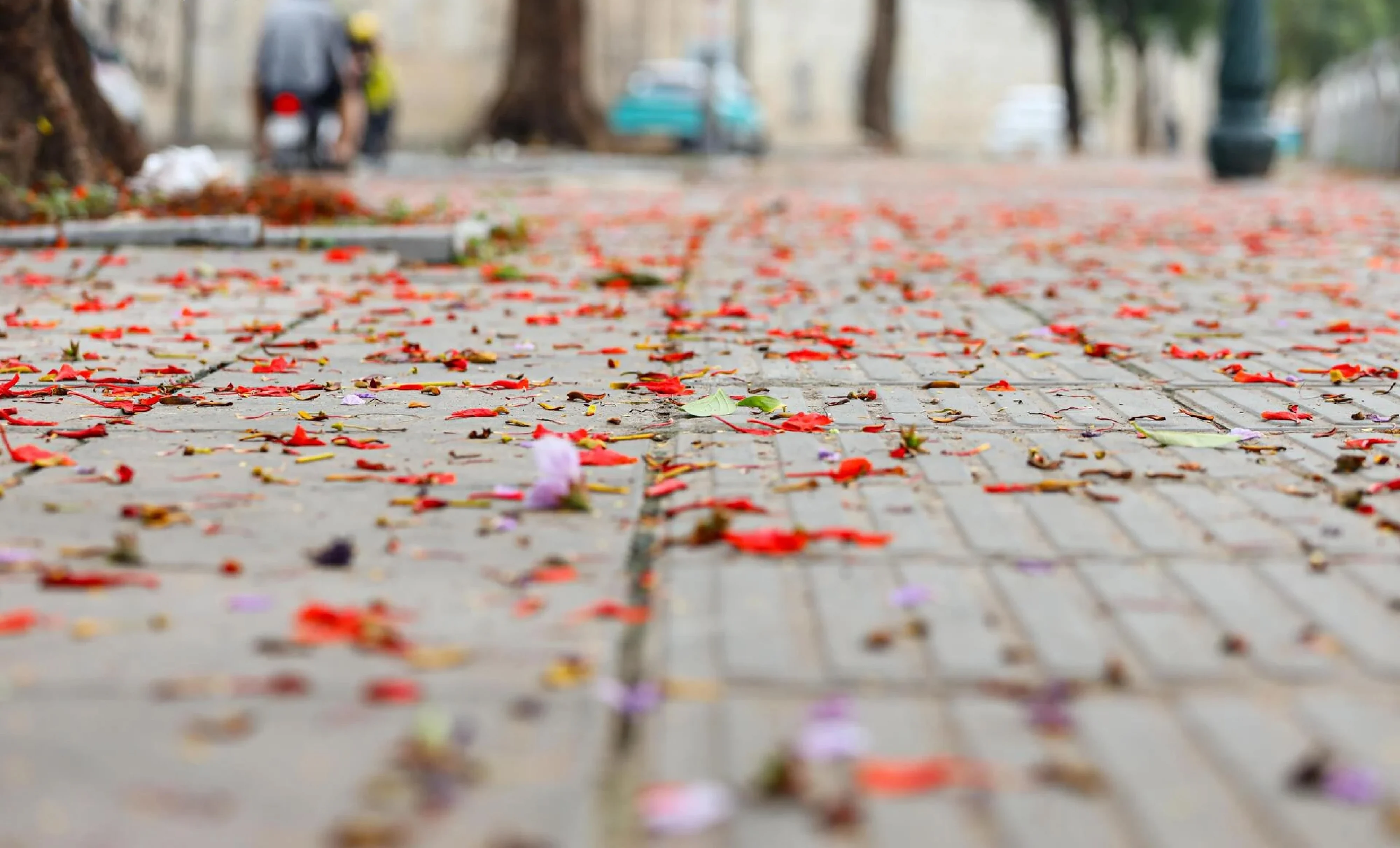 [E-magazin]: Màu của nhớ