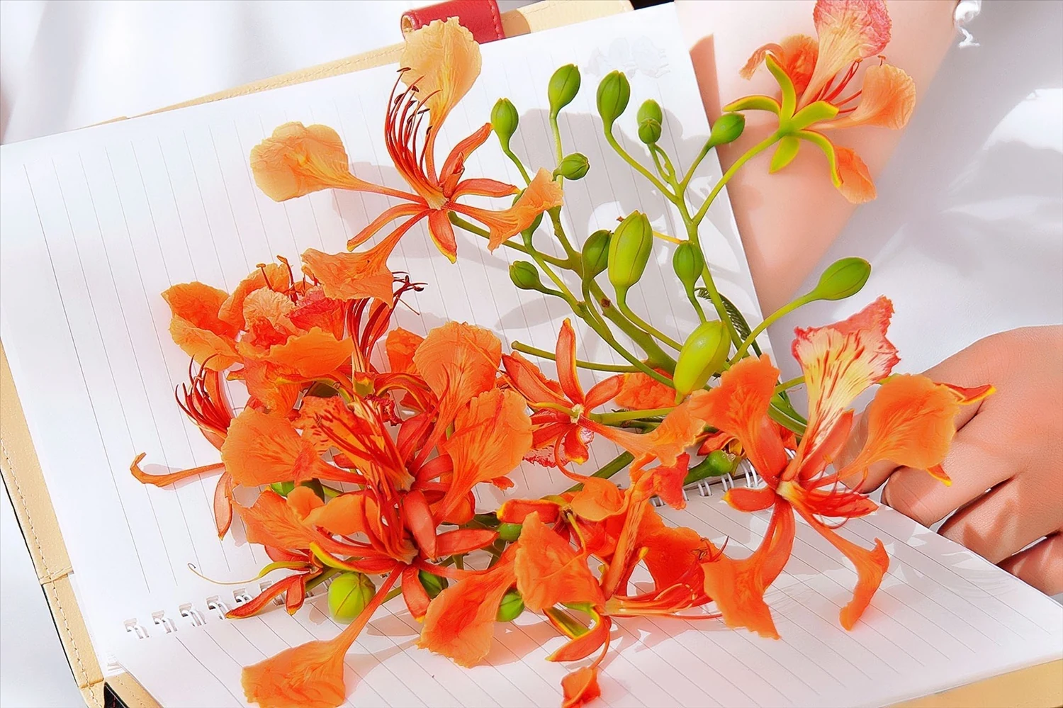 [E-magazin]: Màu của nhớ