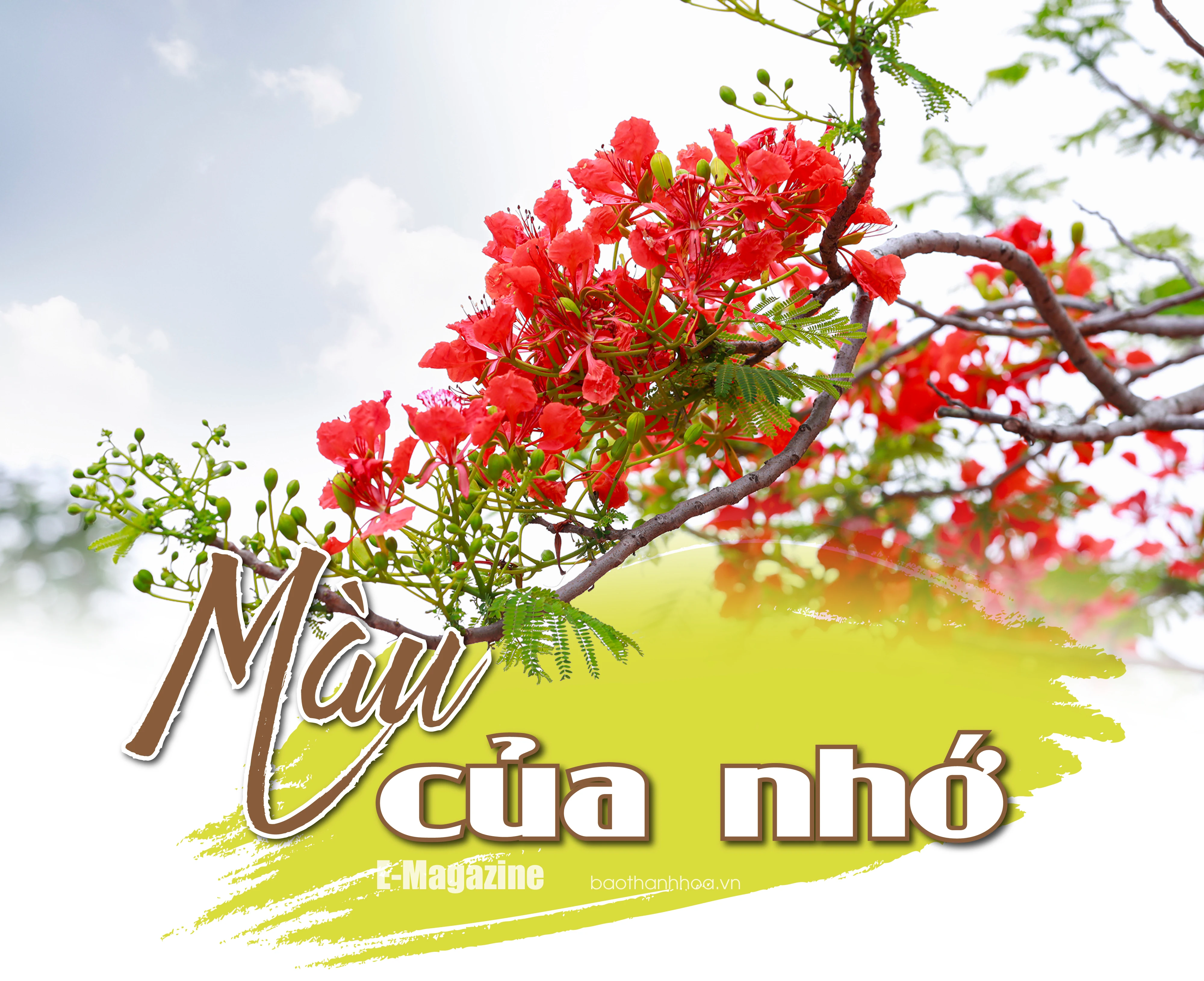 [E-magazin]: Màu của nhớ