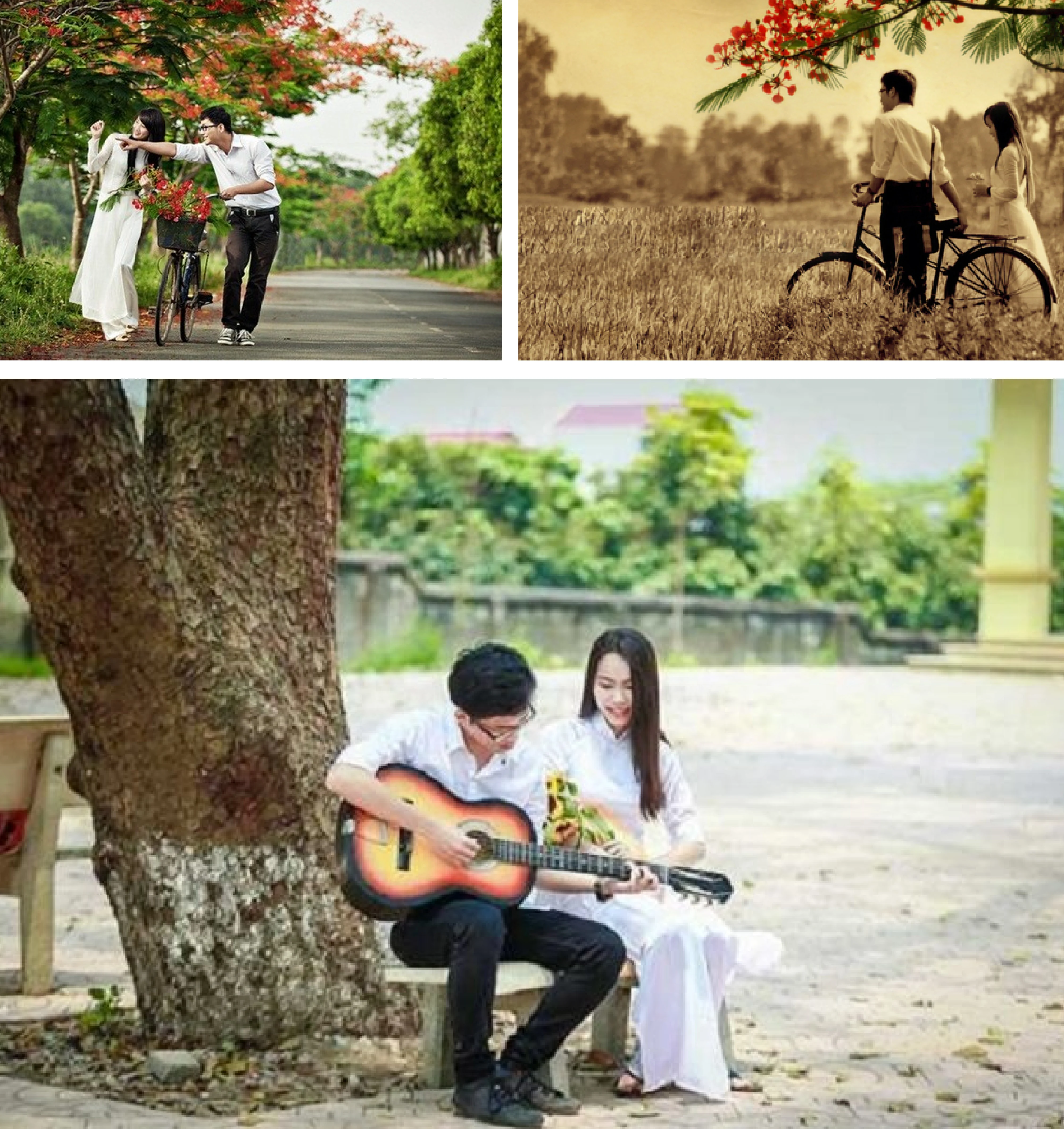 [E-magazin]: Màu của nhớ