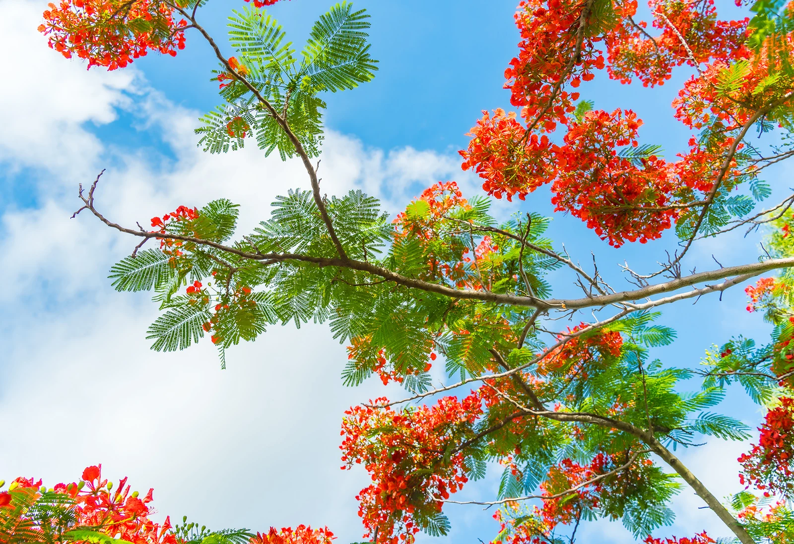 [E-magazin]: Màu của nhớ