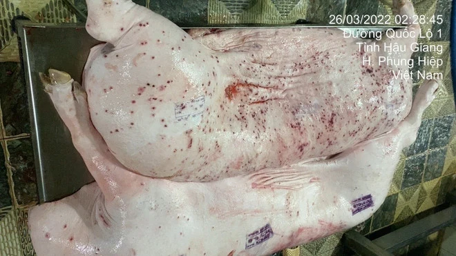 Sẽ đề nghị Bộ Công an vào cuộc vụ Công ty C.P bị tố bán “thịt heo bẩn”